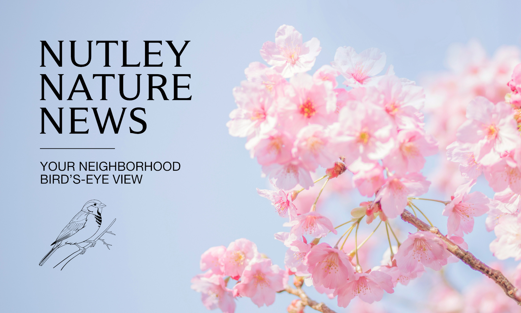 Nutley Nature News